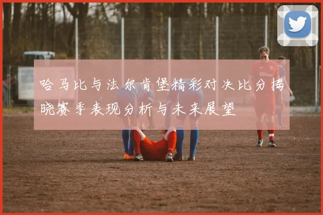 哈马比与法尔肯堡精彩对决比分揭晓赛季表现分析与未来展望
